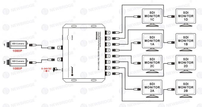 Amplificatore amplificatore di distribuzione di SD/HD/3G-SDI 1 - 4 di distribuzione di HD-SDI